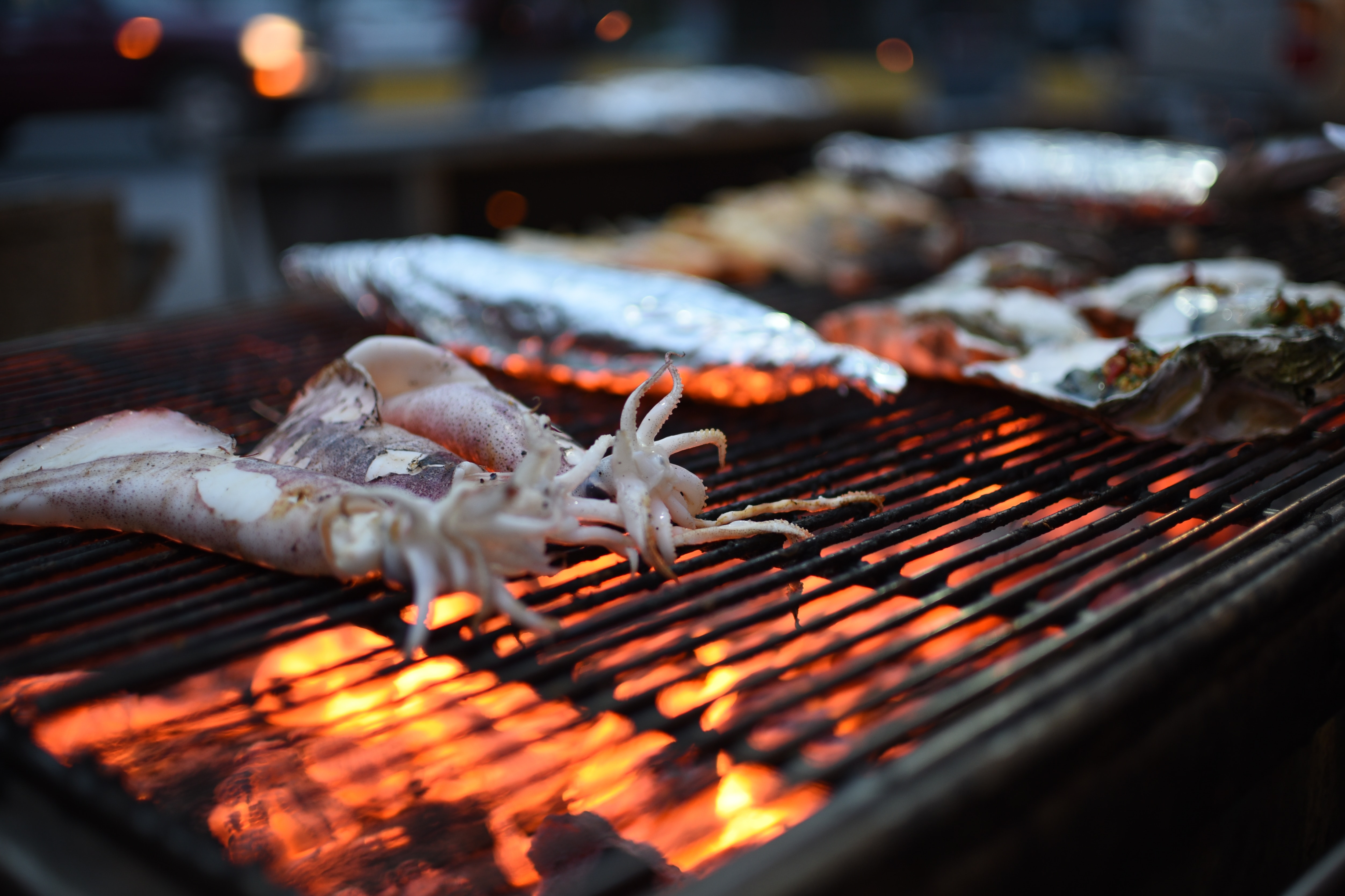 Squid Fishing in Hua Hin