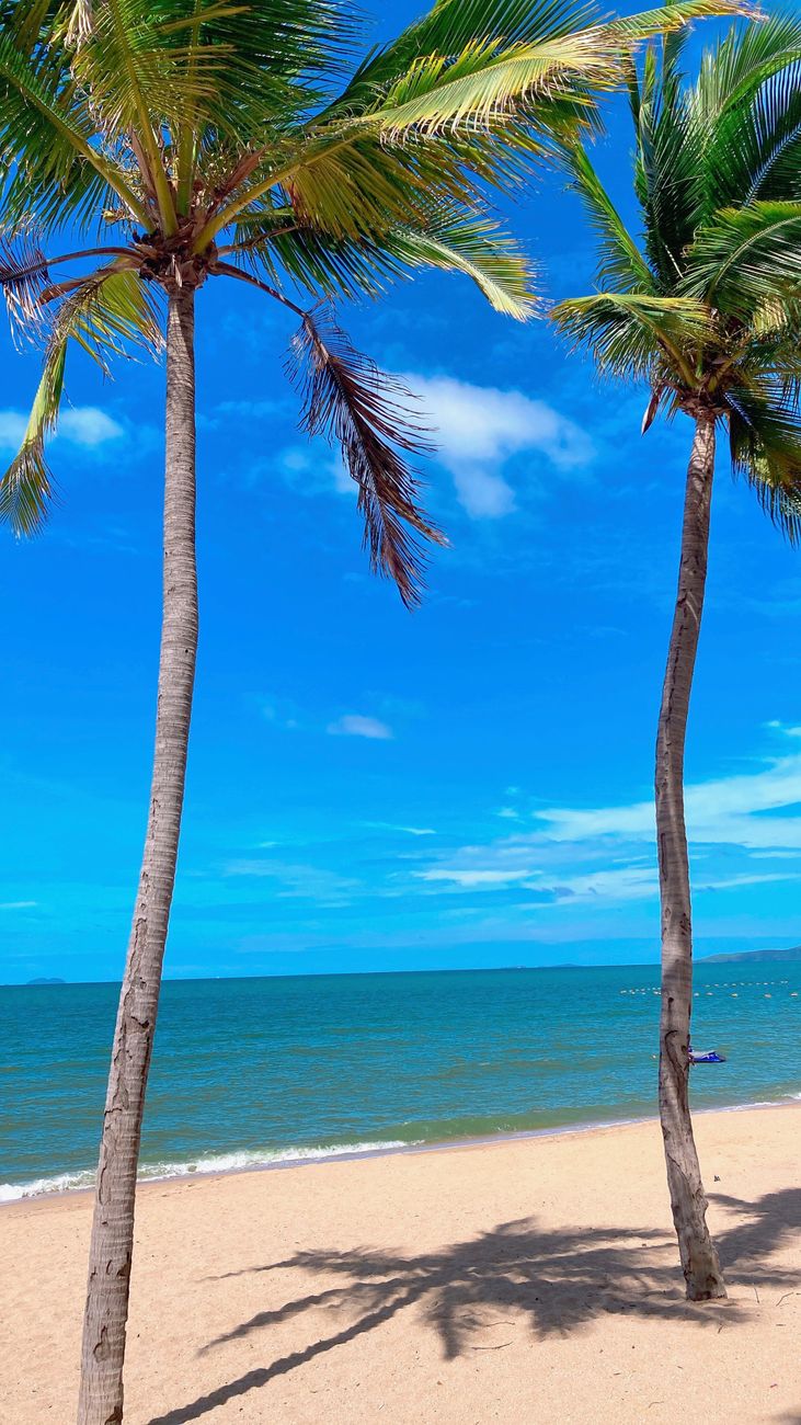 Two palm trees frame a calm turquoise sea and a clear blue sky above a sandy beach.